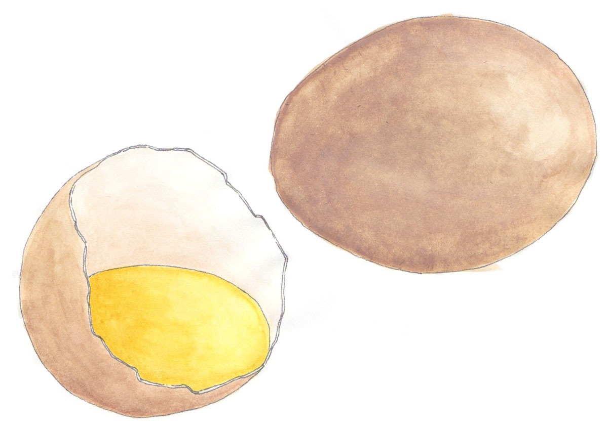 Bio Eier